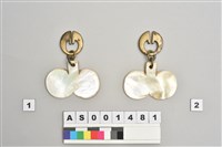 藏品(貝片耳飾)的圖片